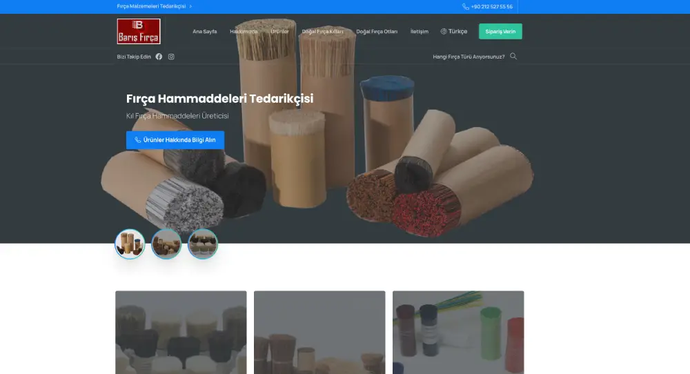 Barış Fırça web sitesi projesi